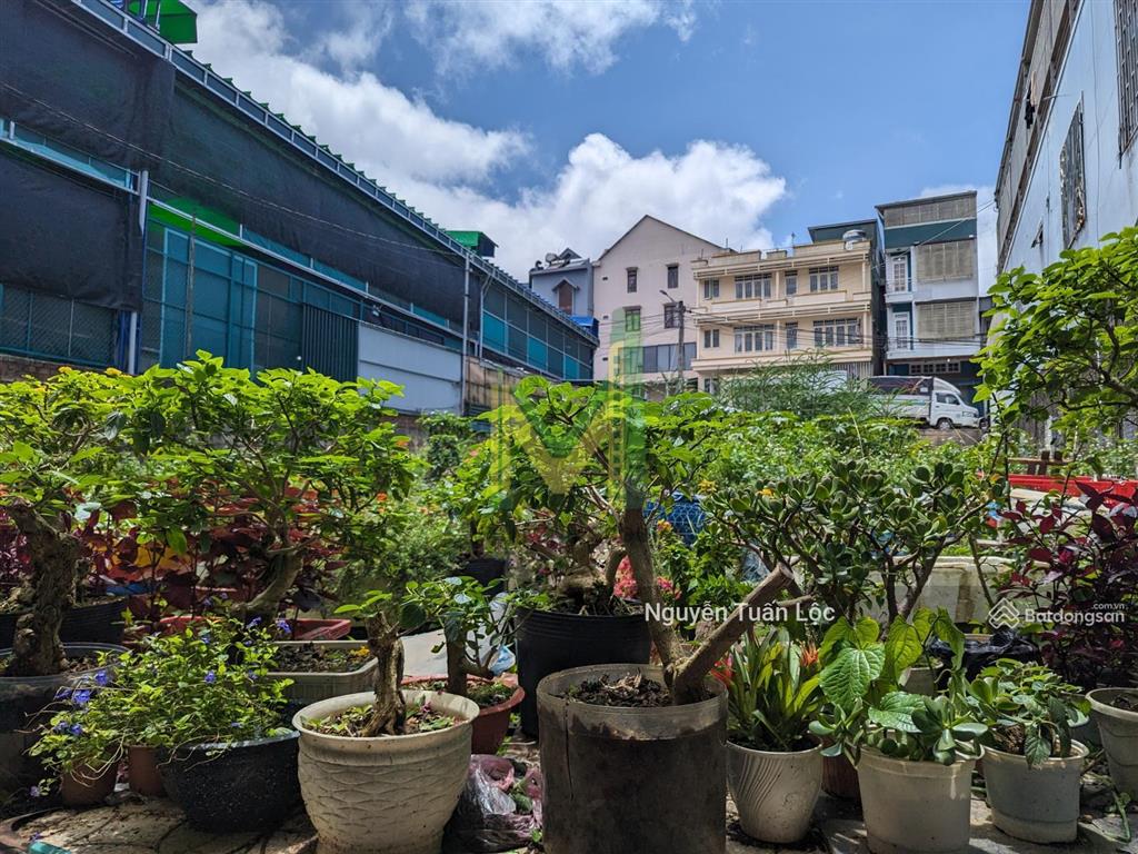 Bán đất gần 500m2 ngay phù đổng thiên vương, 2 mặt tiền trần khánh dư, đà lạt, vị trí vàng kd