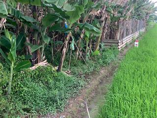 300m2 full thổ cách trung tâm tp. hcm 45 phút