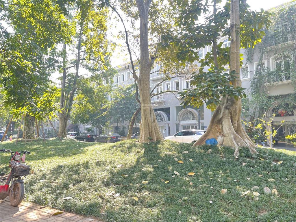 Nhà phố thương mại phố trúc | 21 tỷ | 2 mặt tiền hiếm có | s đất 110m2 | vị trí đắc địa | sổ đỏ