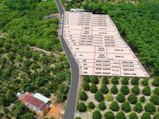 Bán đất tại long tân, 470 triệu, 550 m2, giá ưu đãi trong tháng 6