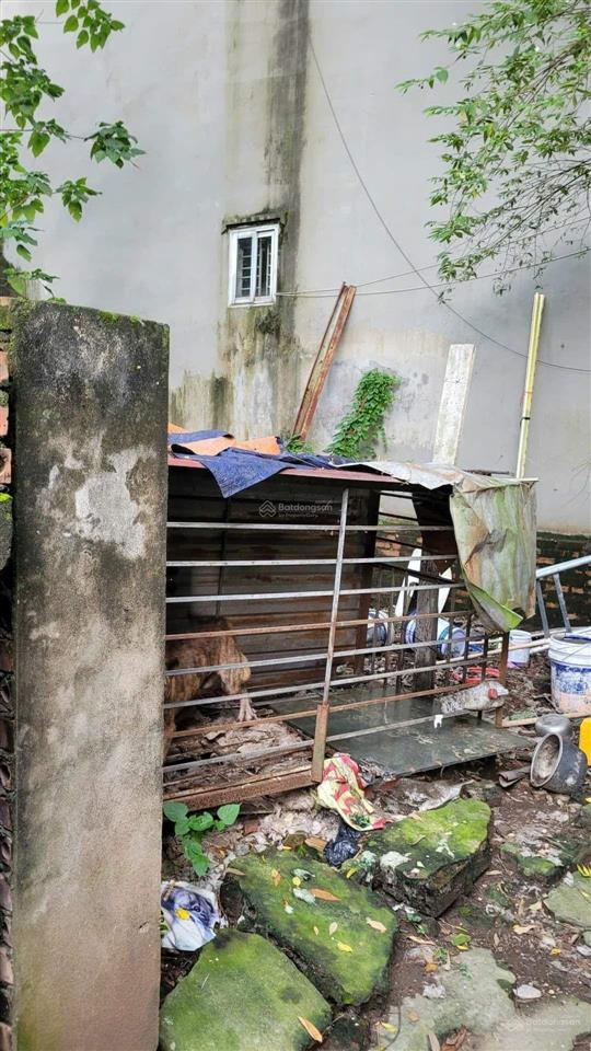 Hiếm, đất đại áng, ngõ ô tô 7 chỗ, 57m2, giá 4.3 tỷ