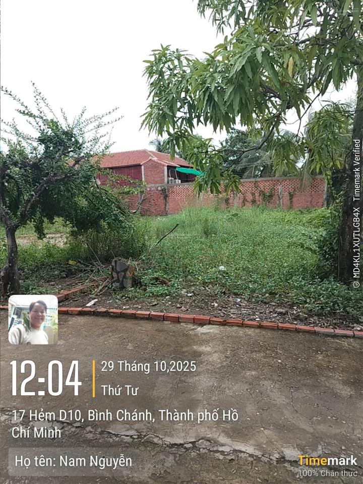 Bán đất / đường trịnh như khuê gần chợ bình chánh, tp hồ chí minh