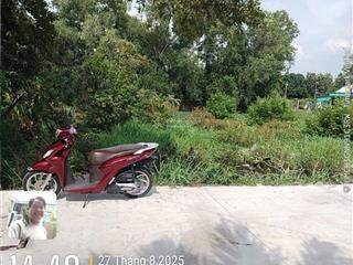 Bán 546m2 đất đường đinh đức thiện, xã bình chánh, tp hồ chí minh