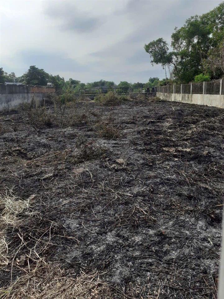 Bán 1000m2 đất trồng cây lâu năm, đường nguyễn văn thời, xã qui đức, huyện bình chánh giá 6 tỷ