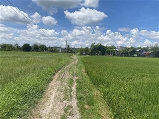 Bán đất tại xã lộc hưng, trảng bàng, tây ninh, giá cực tốt 1,6 tỷ, diện tích 3500 m2