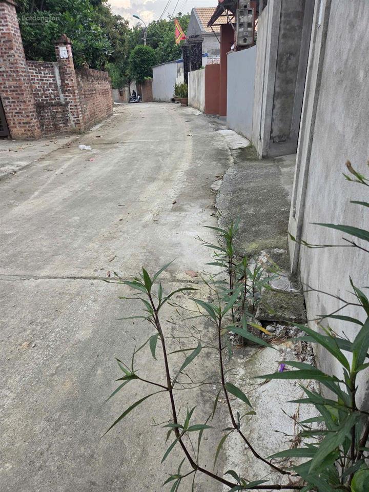 Cơ hội vàng đầu tư bán 5 lô đất đẹp giá gốc ngay gần cách đường 1.500 tỷ đông xuân, phú thọ