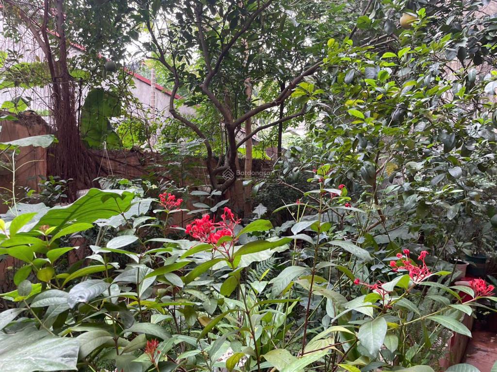 Chính chủ cho thuê nhà vườn diện tích 150m2 ở lâu dài quận long biên