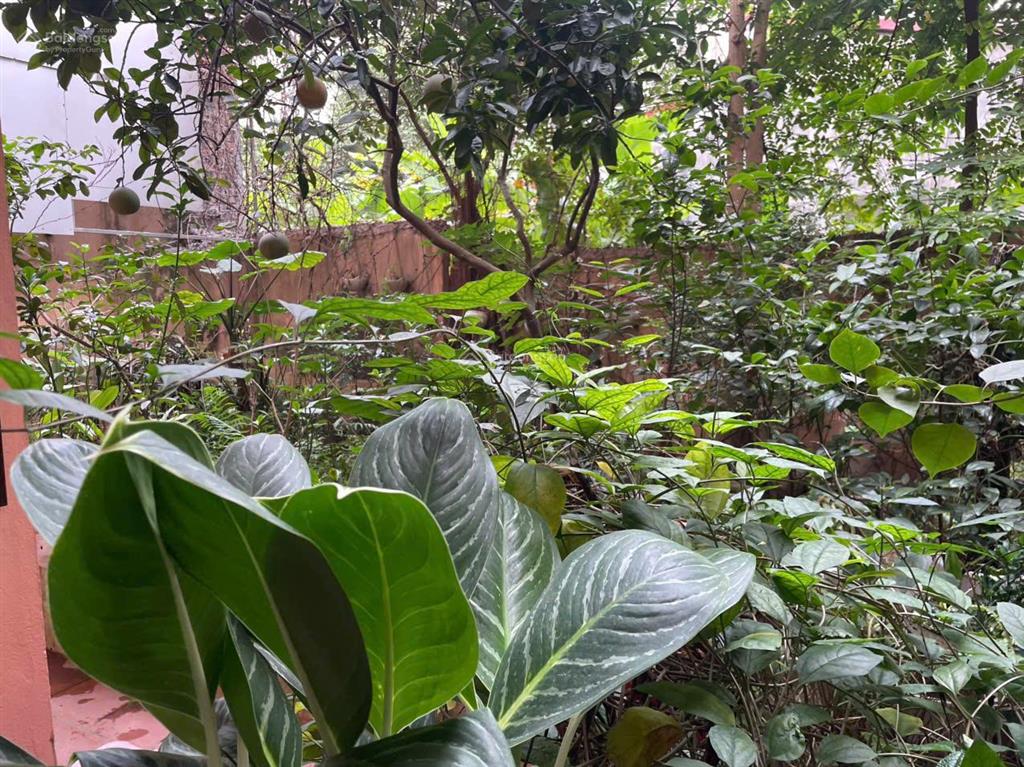 Chính chủ cho thuê nhà vườn diện tích 150m2 ở lâu dài quận long biên