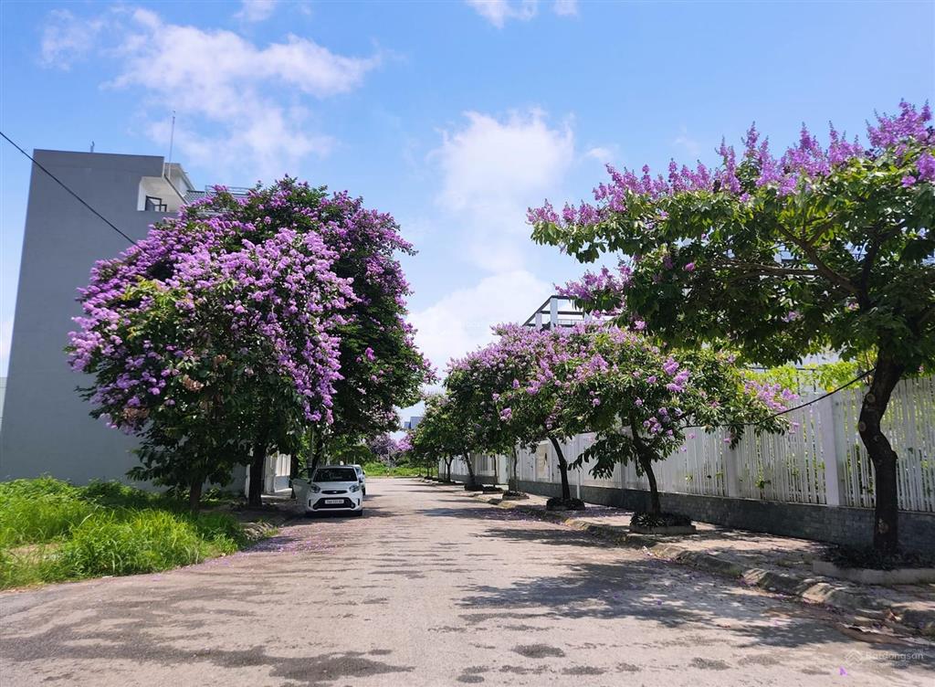 Bán đất khu biệt thự vườn hồng. dt 150m2 ngang 7,5m. giá 62.5 triệu/m2