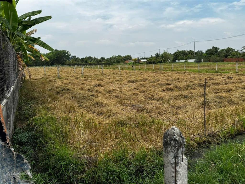 Bán đất 645m2 tại đường 576, xã trung lập hạ, củ chi, 1,85 tỷ