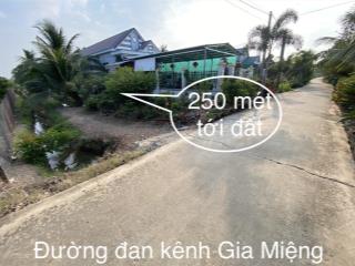 Bán 5267.5m2 đất ấp 9  lương hoà  bến lức. đất cây hàng năm khác