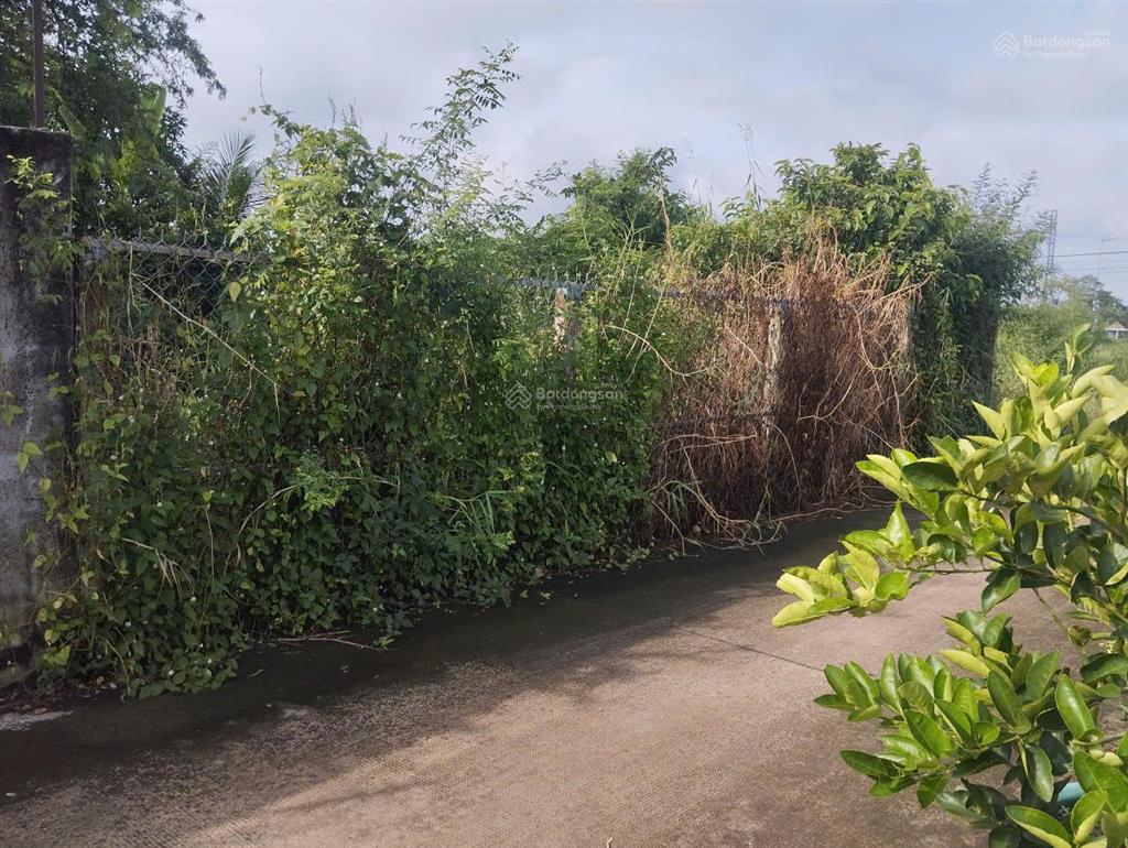 Bán 878m2 đất 7,2 tỷ mt trần văn ngà xã an vĩnh ngãi, tân an, long an, nay là p. tân an, tây ninh