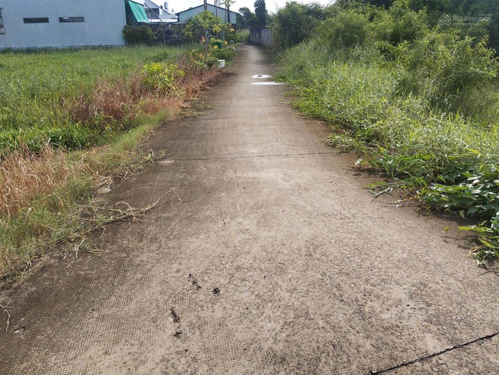 Bán 878m2 đất 7,2 tỷ mt trần văn ngà xã an vĩnh ngãi, tân an, long an, nay là p. tân an, tây ninh