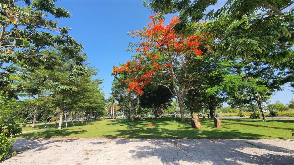 Cực hiếm, 02 lô liền kề trục chính cổng vào khu dvhh vsip quảng ngãi, 264m2, thuận tiện kinh doanh