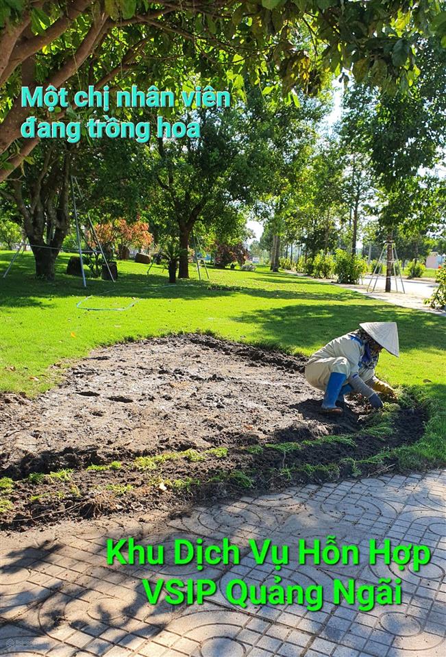 Cực hiếm, 02 lô liền kề trục chính cổng vào khu dvhh vsip quảng ngãi, 264m2, thuận tiện kinh doanh