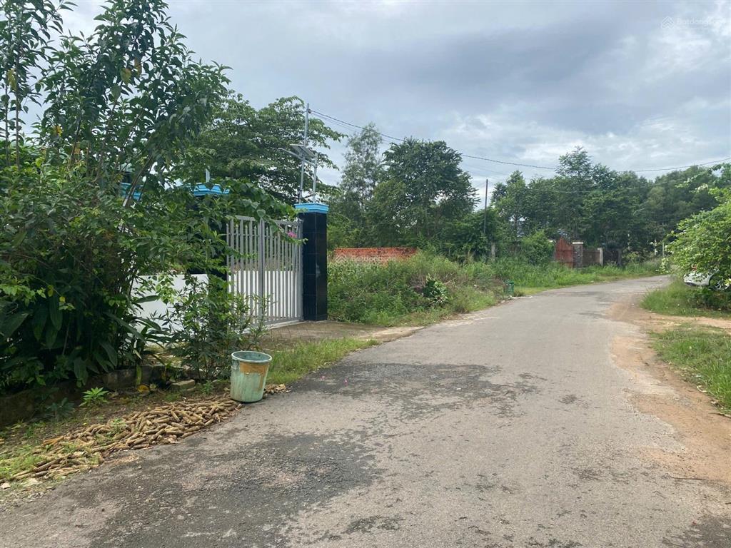 Bán đất đường nhựa 8m trung tâm kp2 phường hắc dịch, cách vòng xoay 700m, dt 5x39m giá 1.4 tỷ