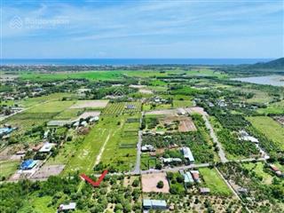 Hàng hot bán trang trại tại xã triệu an, triệu phong, quảng trị, 4 triệu / m2, 1000 m2