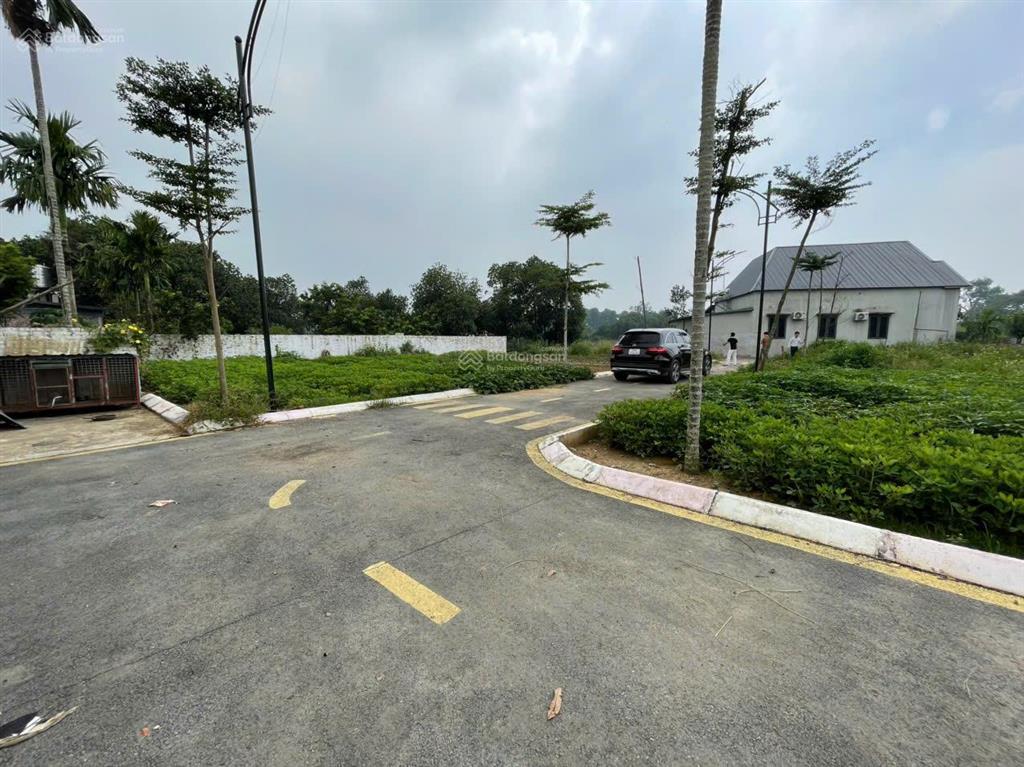 Chính chủ bán gấp 117m2 ở dt 420, sau trường mần non bình yên, thạch thất. giá siêu hời 32 tr/m2