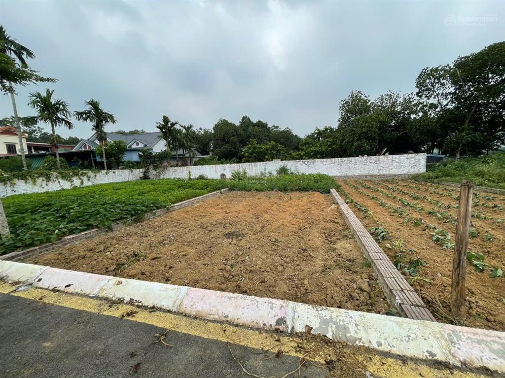 Chính chủ bán gấp 117m2 ở dt 420, sau trường mần non bình yên, thạch thất. giá siêu hời 32 tr/m2