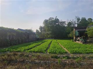 Bán đất biệt thự nhà vườn thạch văn, thạch hà (nay thuộc tp hà tĩnh).vị trí đẹp, hai mặt tiền