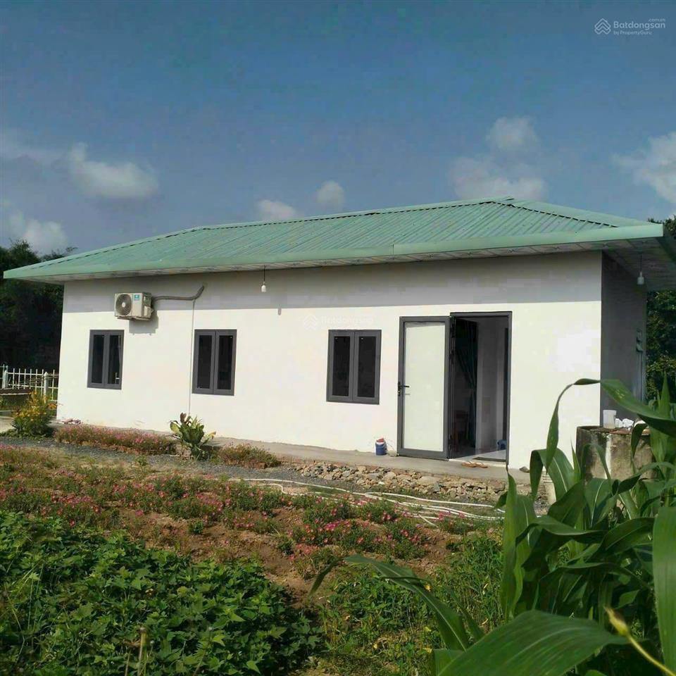 Quá ngộp! bán lô đất tặng biệt thự mini mt đường trải đá xe tải, dt 1.036m2, có 955m thổ, thái mỹ.