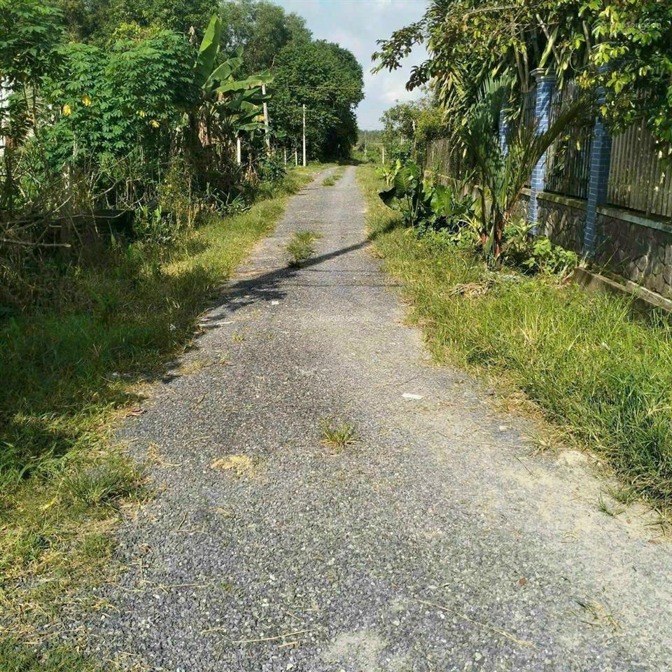 Quá ngộp! bán lô đất tặng biệt thự mini mt đường trải đá xe tải, dt 1.036m2, có 955m thổ, thái mỹ.