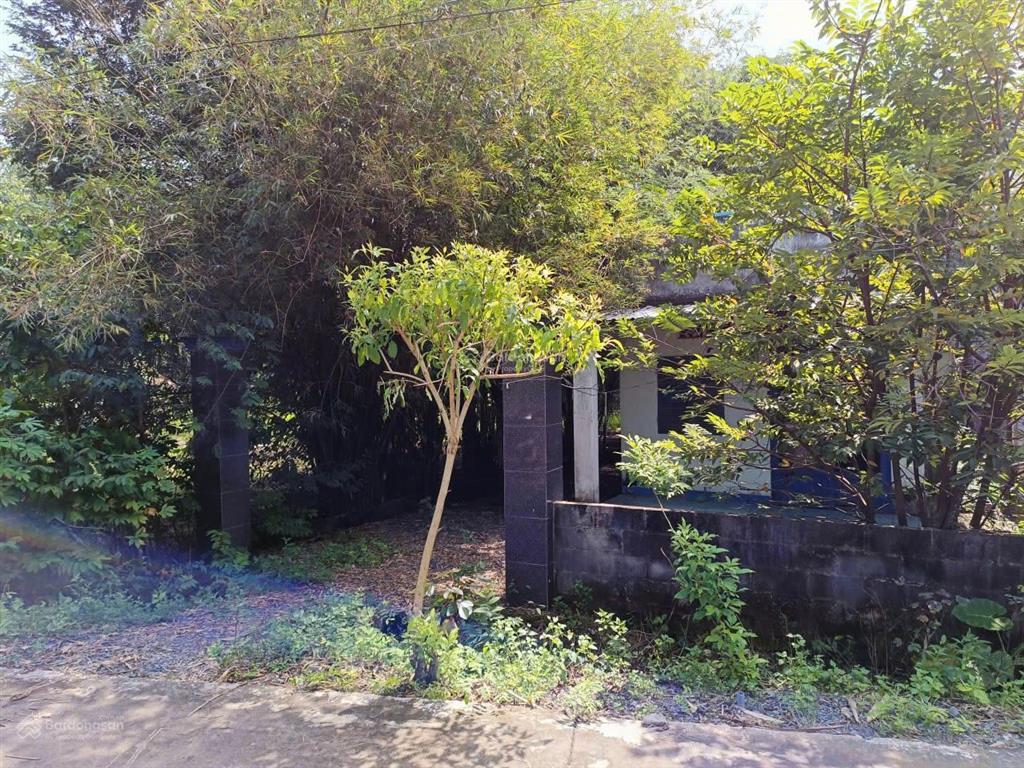 Bán đất và nhà mt đường nguyễn thị he, diện tích 281m2, 36m2 thổ cư, trung lập thượng