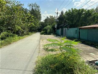 Bán lô đất vườn 2 mt đường nhựa tăng thị hội, dt 4917m2, xã an nhơn tây