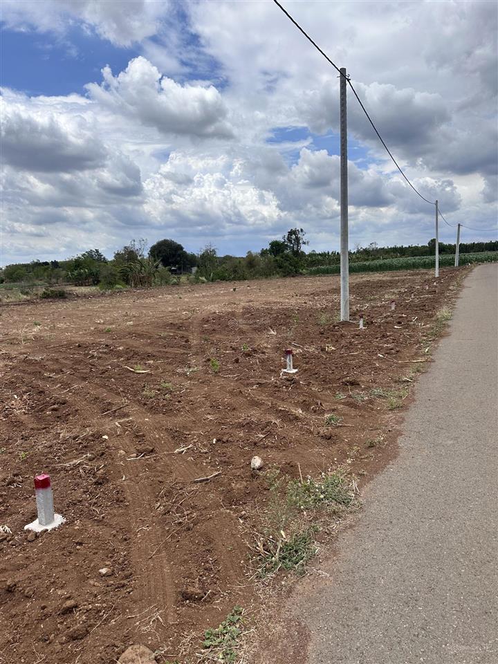 Đất tại xã đá bạc, châu đức, bà rịa vũng tàu (nghĩa thành tp hồ chí minh)