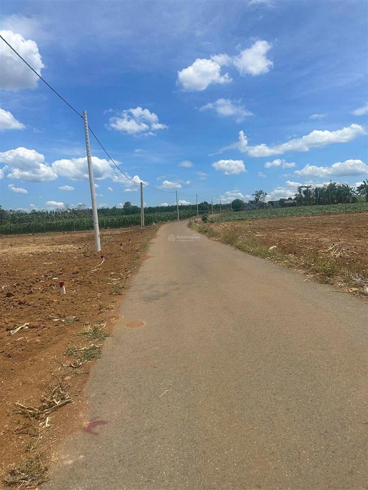 Đất tại xã đá bạc, châu đức, bà rịa vũng tàu (nghĩa thành tp hồ chí minh)