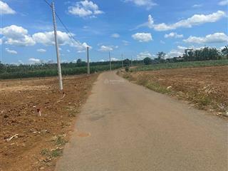 Đất tại xã đá bạc, châu đức, bà rịa vũng tàu (nghĩa thành tp hồ chí minh)