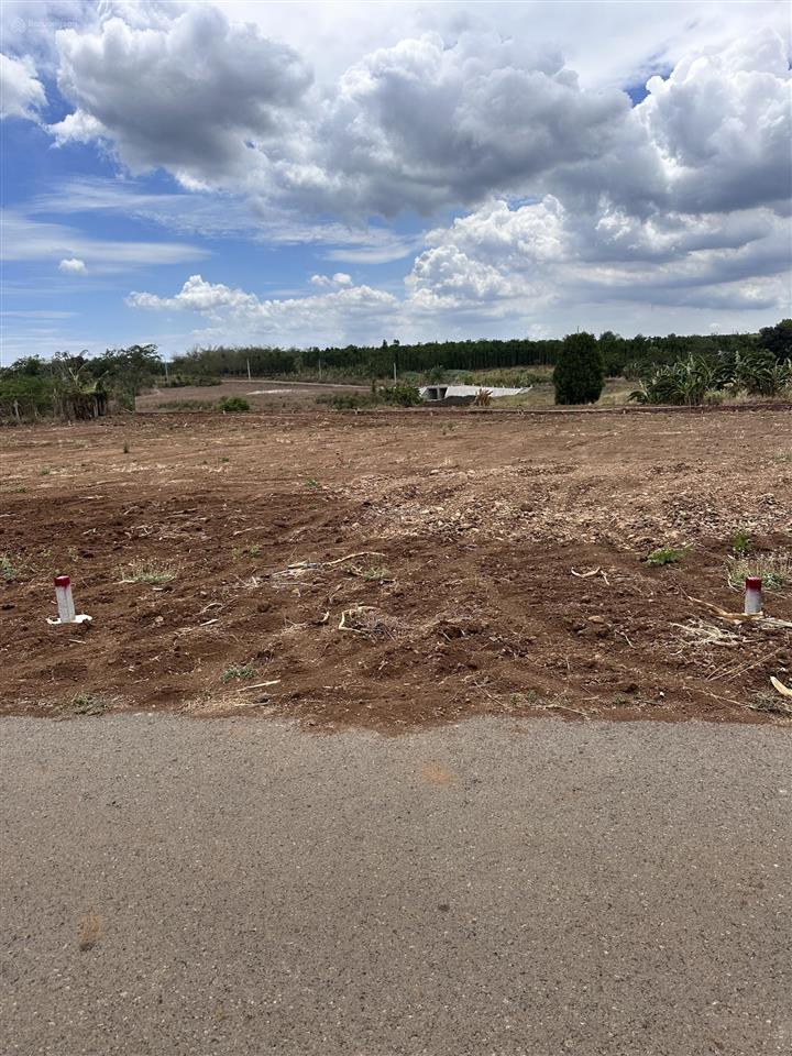 Đất tại xã đá bạc, châu đức, bà rịa vũng tàu (nghĩa thành tp hồ chí minh)