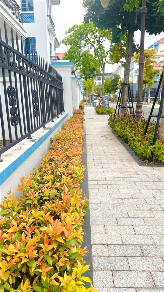 Bán bt song lập 233m2 khu malloca đẹp nhất dự án sun feria hạ long