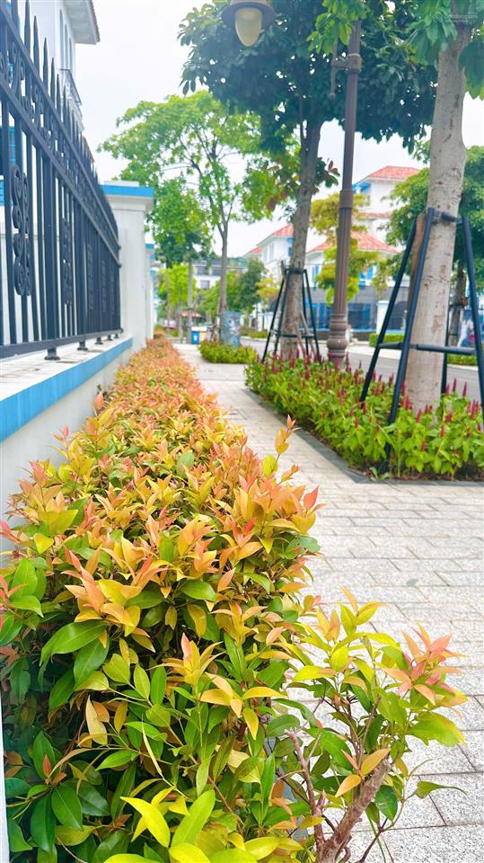 Bán bt song lập 233m2 khu malloca đẹp nhất dự án sun feria hạ long