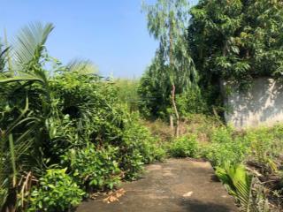 Cần bán đất mặt tiền đường tam thôn hiệp, cần giờ diện tích lớn, thổ cư 300m2, giá 13 tỷ