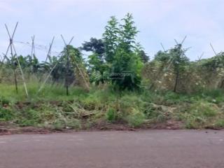 Chủ cần bán đất bàu chinh, hẻm gas sáu văn, gần trục ql56 giá 130 triệu mét ngang