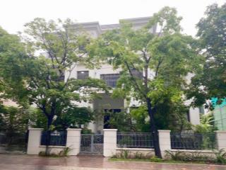 Chính chủ cần bán gấp biệt thự đơn lập vinhomes tân cảng dt 17,19*16 m. dtsd 638,5 m2. giá tốt