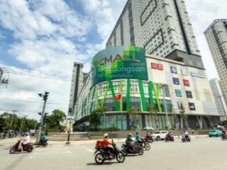 Cho thuê căn hộ 60m2, 2pn, 2wc, topaz elite (block trung tâm thương mại parc mall), cao lỗ, p.4, q8