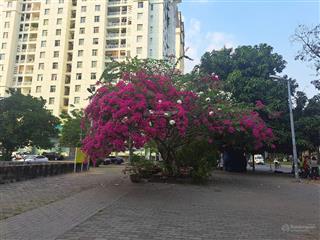 Cần bán nhà phố kdc himlam 6a, 5x20 3 lầu giá 17 tỷ  ms viêm 0938 971 ***