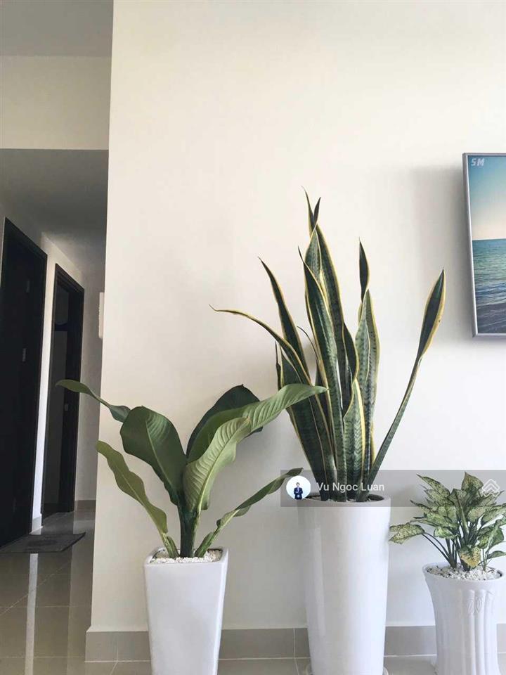 Cập nhật bảng giá bán căn sunrise riverside t3/2025. 2pn 4,7 tỷ. 3pn 5,5 tỷ.  0908 854 ***