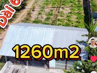 Bán gấp đất nền 1200m2 tại đường n2, mỹ đông, tháp mười, đồng tháp, giá siêu hời 6 tỷ vnd