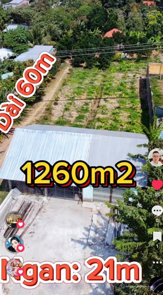 Bán gấp đất nền 1200m2 tại đường n2, mỹ đông, tháp mười, đồng tháp
