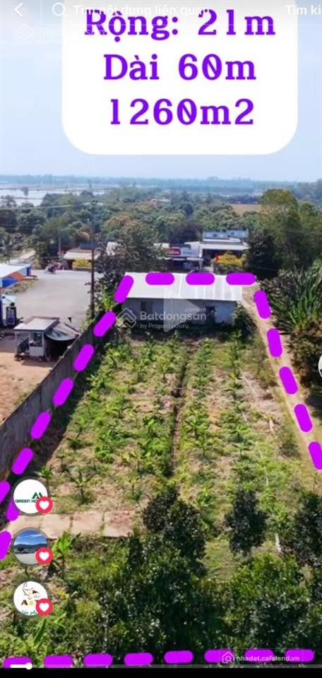 Bán gấp đất nền 1200m2 tại đường n2, mỹ đông, tháp mười, đồng tháp