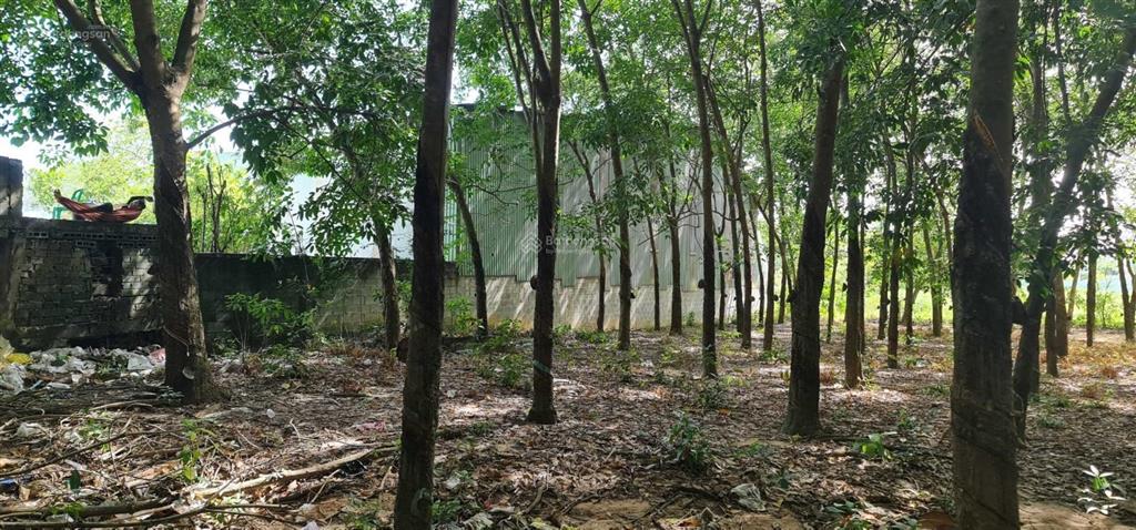 Cho thuê giá rẻ 20tr 6000m2 đất có 500m2 thổ cư. mặt đường xe tải, tiện làm kho xưởng  0987 899 ***