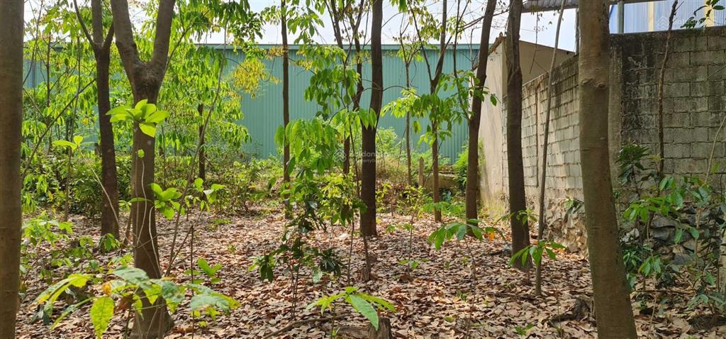 Cho thuê giá rẻ 20tr 6000m2 đất có 500m2 thổ cư. mặt đường xe tải, tiện làm kho xưởng  0987 899 ***