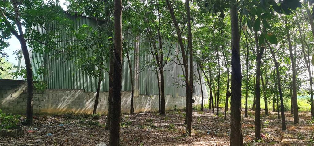 Cho thuê giá rẻ 20tr 6000m2 đất có 500m2 thổ cư. mặt đường xe tải, tiện làm kho xưởng  0987 899 ***
