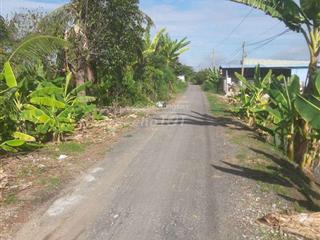 Bán 1000m2 (20 x 50m) nhựa thọ khương, xã bình phú, gò công tây