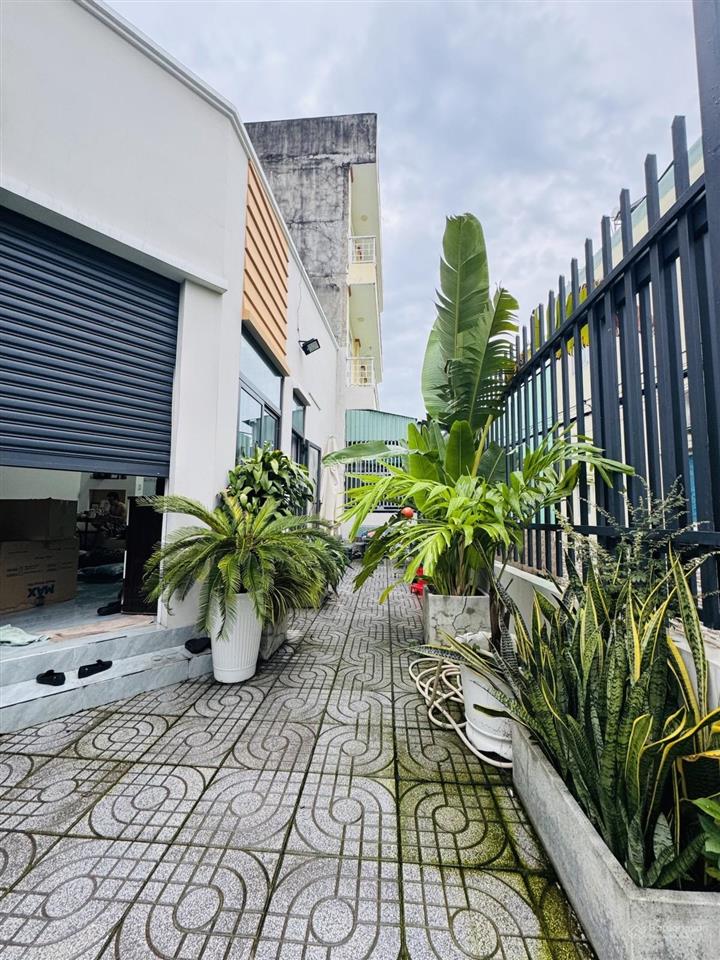 Hot! sát mặt tiền lê tấn bê  8x13 mini villas sân vườn chỉ 5.5t thương lượng xem ngay