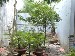 Hiếm! đất oto hồ học lãm gần võ văn kiệt  4x17 xây đc 4.5 tấm  full thổ chỉ 4.3t còn tl! xem ngay