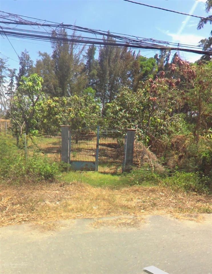 Bán đất mặt tiền đường duyên hải long hoà cần giờ